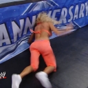 WWE_WrestleMania_25-video_ts_002613666.jpg