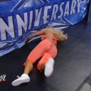 WWE_WrestleMania_25-video_ts_002614133.jpg