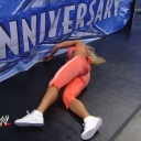 WWE_WrestleMania_25-video_ts_002614366.jpg