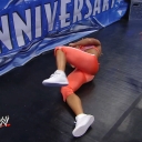 WWE_WrestleMania_25-video_ts_002614800.jpg