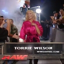 WWE_ECW_08_22_06_Kelly_Torrie_Segment_mp4_000016949.jpg