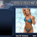 wwe-divas-puzzle-torrie.jpg