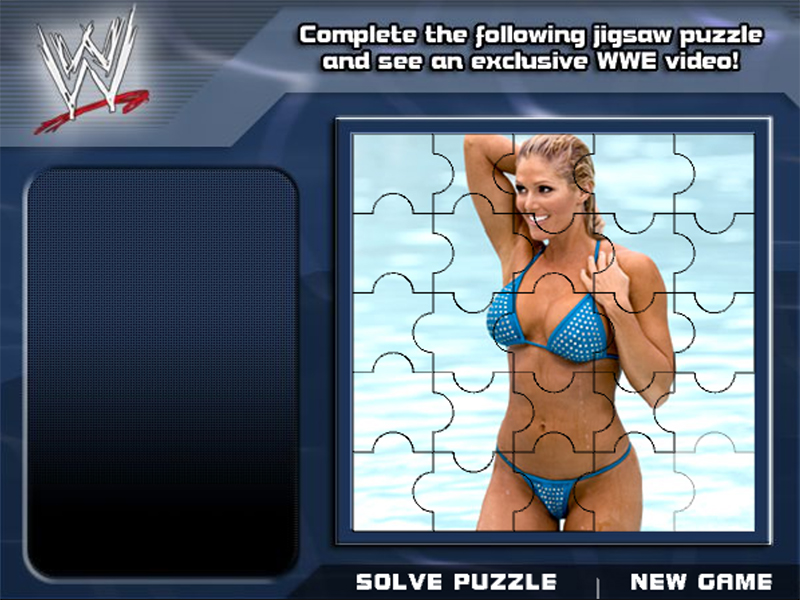 wwe-divas-puzzle-torrie.jpg