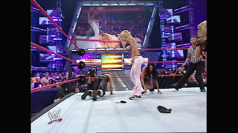 WWE00400.jpg